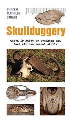 Stock image for SKULLDUGGERY A QUICK for sale by Revaluation Books