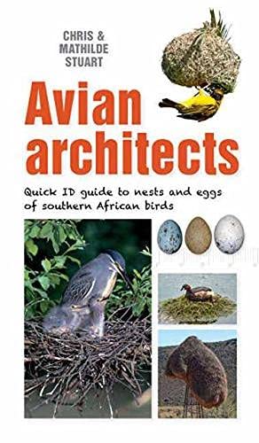 9781775847434: Avian Architects: Quick ID Guide to Nests and Eggs of Southern African Birds (Quick ID guides)