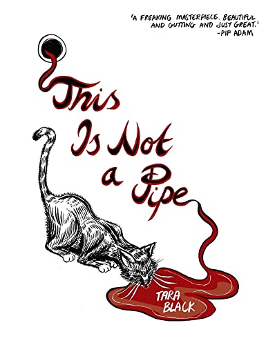 9781776563227: This is Not a Pipe