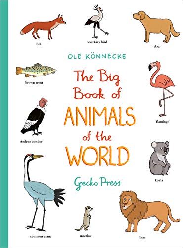 Beispielbild fr The Big Book of Animals of the World (Gecko Press Titles) zum Verkauf von WorldofBooks