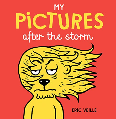 Beispielbild fr My Pictures After the Storm zum Verkauf von Better World Books
