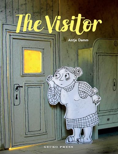 9781776571888: The Visitor