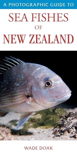Stock image for A Photographic Guide to Seafish of New Zealand (Paperback) for sale by Grand Eagle Retail