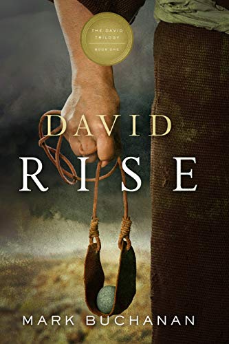 Stock image for David: Rise for sale by ThriftBooks-Atlanta