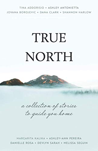 Stock image for True North: A Collection of Stories to Guide You Home for sale by Book Deals