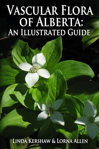 Beispielbild fr Vascular Flora of Alberta: An Illustrated Guide zum Verkauf von PlumCircle