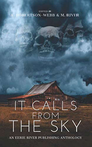 Stock image for It Calls From the Sky: Terrifying Tales from Above for sale by Books Unplugged