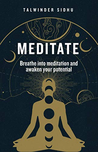 Beispielbild fr Meditate: Breathe into meditation and awaken your potential zum Verkauf von WorldofBooks
