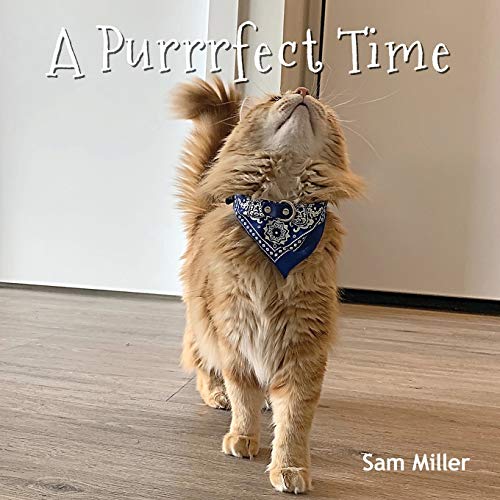 Stock image for A Purrrfect Time for sale by ThriftBooks-Atlanta