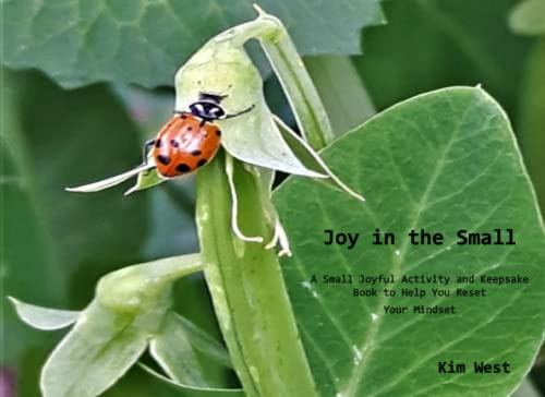 Stock image for Joy in the Small: A Small Joyful Activity and Keepsake Book to Help You Reset Your Mindset for sale by GF Books, Inc.