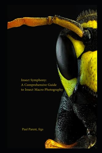 Stock image for Insect Symphony: A Comprehensive Guide to Insect Macro Photography for sale by GF Books, Inc.