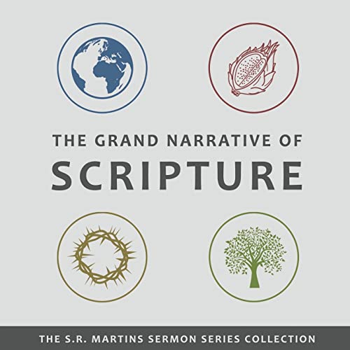 Imagen de archivo de The Grand Narrative of Scripture a la venta por GreatBookPrices