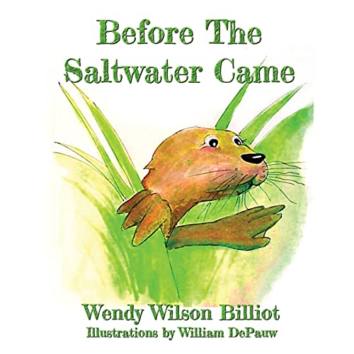 Stock image for Before The Saltwater Came for sale by Lucky's Textbooks