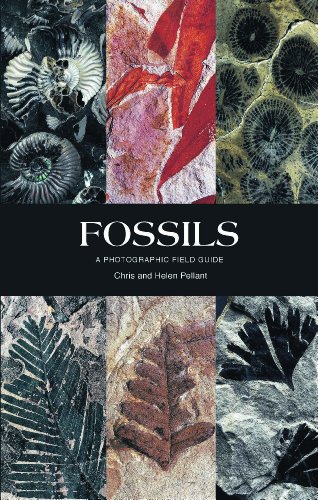 9781780094083: Fossils (Photographic Field Guide): A Photographic Field Guide