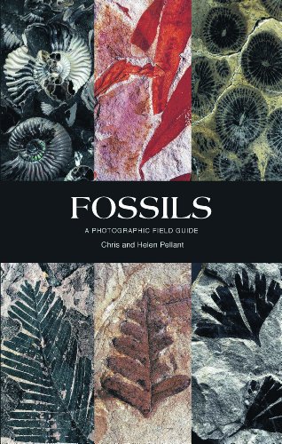 Stock image for Fossils : A Photographic Field Guide for sale by Better World Books