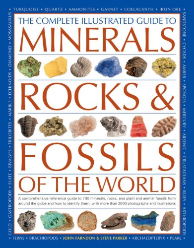 Imagen de archivo de The Complete Illustrated Guide to Minerals, Rocks & Fossils of the World: A Comprehensive Reference Guide to Over 700 Minerals, Rocks, Plants and . and How to Identify Them, With More Than a la venta por ZBK Books