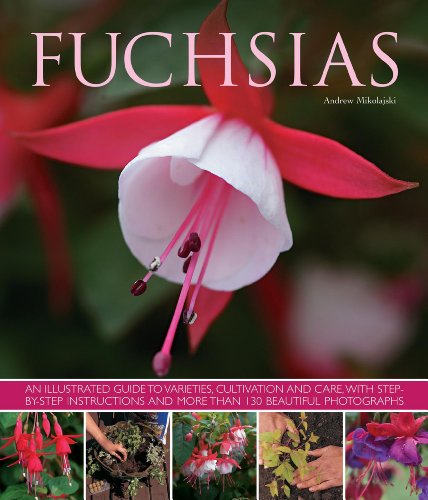 Beispielbild fr Fuchsias: An Illustrated Guide to Varieties, Cultivation and Care: an Illustrated Guide to Varieties, Cultivation and Care, with Step-by-step Instructions and More Than 130 Beautiful Photographs zum Verkauf von WorldofBooks