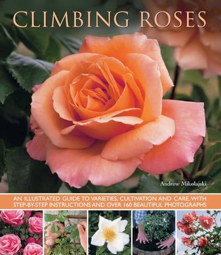 Climbing Roses: An Illustrated Guide to Varieties, Cultivation and Care, With Step-By-Step Instructions and Over 160 Beautiful Photographs (9781780192529) by Mikolajski, Andrew