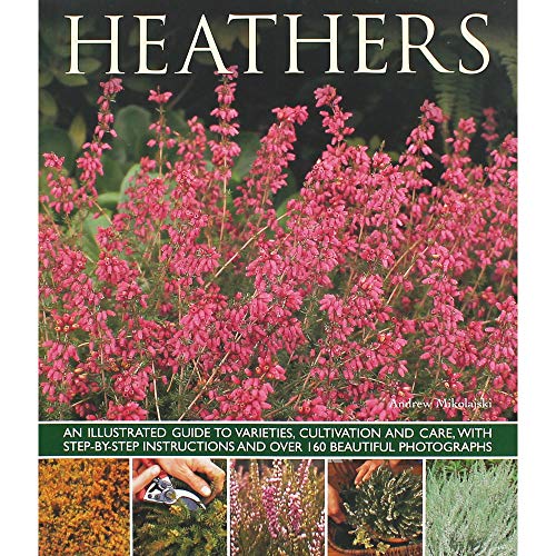 Beispielbild fr Heathers: An Illustrated Guide to Varieties, Cultivation and Care, With Wtep-By-Step Instructions and Over 160 Beautiful Photographs zum Verkauf von Books From California