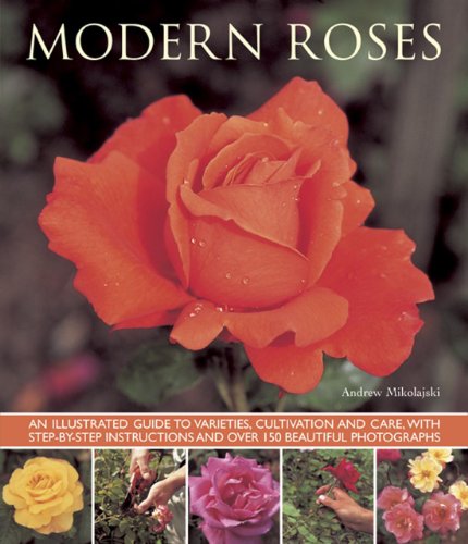 Imagen de archivo de Modern Roses: An Illustrated Guide to Varieties, Cultivation and Care, with Step-by-Step Instructions and Over 150 Beautiful Photographs a la venta por Goodwill