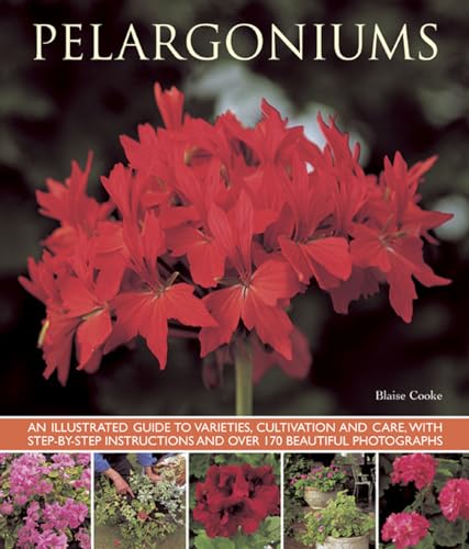 9781780192734: Pelargoniums: An Illustrated Guide to Varieties, Cultivation and Care, with Step-By-Step Instructions and Over 170 Beautiful Photographs