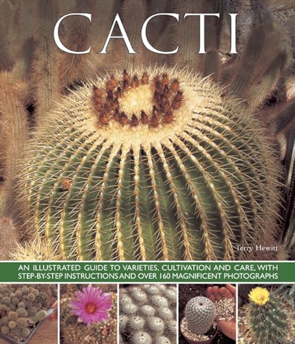 Beispielbild fr Cacti: An Illustrated Guide to Varieties, Cultivation and Care, with Step-by-step Instructions and Over 160 Magnificent Photographs zum Verkauf von WorldofBooks