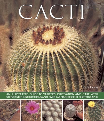 Stock image for Cacti: An Illustrated Guide To Varieties, Cultivation And Care, With Step-By-Step Instructions And Over 160 Magnificent Photographs for sale by SecondSale