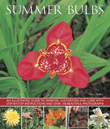 Beispielbild fr Summer Bulbs: An Illustrated Guide to Varieties, Cultivation and Care, with Step-by-step Instructions and Over 160 Beautiful Photographs zum Verkauf von WorldofBooks