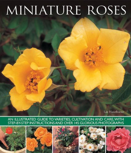 9781780193175: Miniature Roses: An Illustrated Guide To Varieties, Cultivation And Care, With Step-By-Step Instructions And Over 145 Glorious Photographs