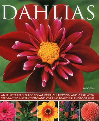 9781780193229: Dahlias