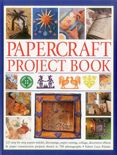 Stock image for Papercraft Project Book for sale by Blackwell's