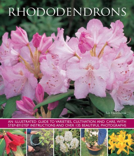 Imagen de archivo de Rhododendrons a la venta por Blackwell's