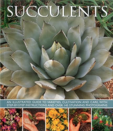 Beispielbild fr Succulents: An illustrated guide to varieties, cultivation and care, with step-by-step instructions and over 145 stunning photographs zum Verkauf von Friends of  Pima County Public Library