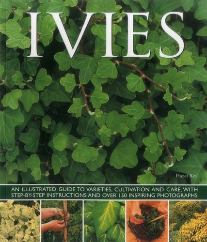 Beispielbild fr Ivies: An Illustrated Guide to Varieties, Cultivation and Care, With Step-by-Step Instructions and over 150 Inspiring Photographs zum Verkauf von WorldofBooks