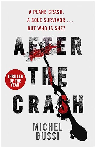 Beispielbild fr After the Crash zum Verkauf von SecondSale