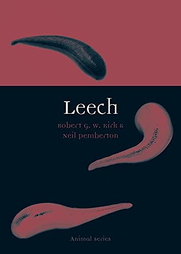 Imagen de archivo de Leech (Animal Series) a la venta por WorldofBooks