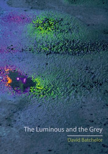 Stock image for The Luminous and the Grey for sale by Goldstone Books