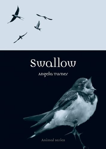 9781780234915: Swallow (Reaktion Books - Animal)