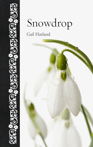 Stock image for Snowdrop (Botanical) for sale by WorldofBooks