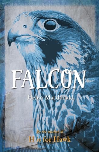 9781780236414: Falcon (Animal Series)