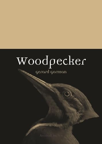 Imagen de archivo de Woodpecker (Animal) a la venta por Midtown Scholar Bookstore