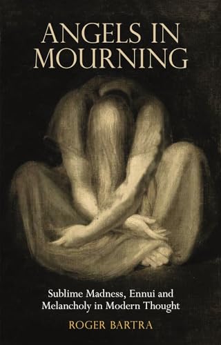 Stock image for Angels in Mourning: Sublime Madness, Ennui and Melancholy in Modern Thought for sale by Midtown Scholar Bookstore