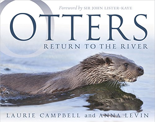 Beispielbild fr Otters: Return to the River zum Verkauf von WorldofBooks