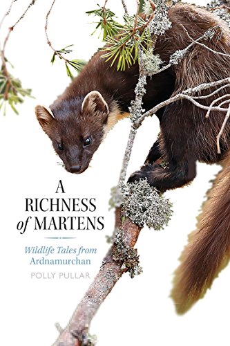 Beispielbild fr A Richness of Martens: Wildlife Tales from Ardnamurchan (Long-Listed for the Highland Book Prize 2019): Wildlife Tales from the Highlands zum Verkauf von WorldofBooks