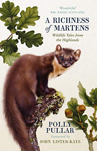 Beispielbild fr A Richness of Martens: Wildlife Tales from Ardnamurchan: Wildlife Tales from the Highlands zum Verkauf von AwesomeBooks