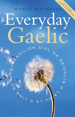 Stock image for Everyday Gaelic Format: Paperback for sale by INDOO