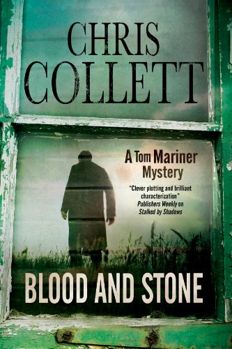 Stock image for BLOOD AND STONE (A Tom Mariner Mystery, 6) for sale by More Than Words