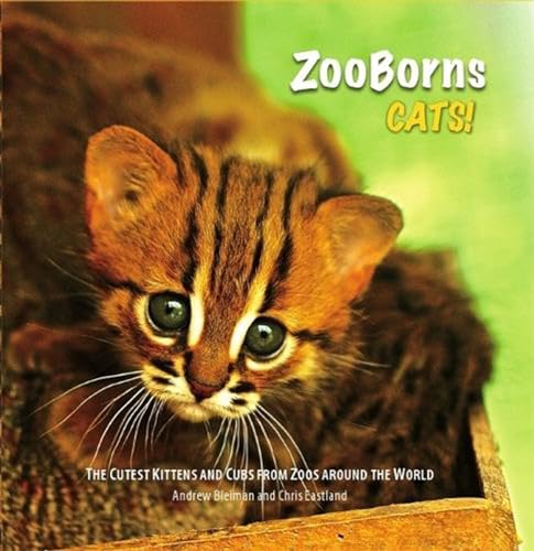 Beispielbild fr ZooBorns - Cats! : The Newest, Cutest Kittens and Cubs from the World's Zoos zum Verkauf von Better World Books