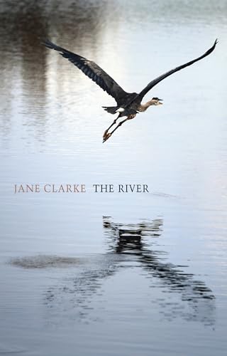 Stock image for The River for sale by Lakeside Books