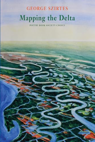 Beispielbild fr Mapping the Delta zum Verkauf von Better World Books